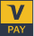 Visa Pay Logo